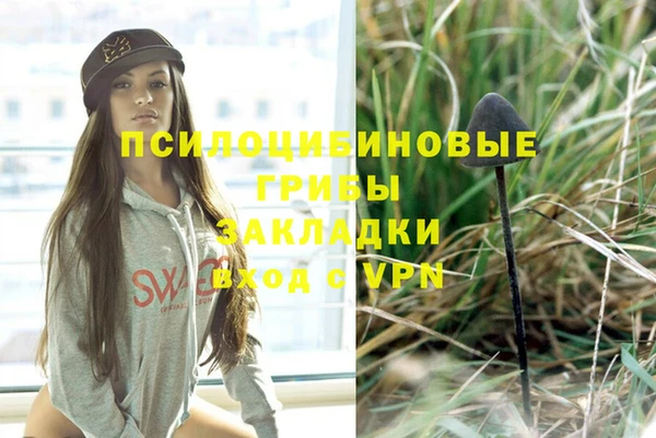 ешки Володарск
