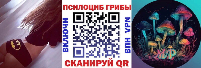 наркотики  кракен зеркало  Псилоцибиновые грибы GOLDEN TEACHER  Киржач 