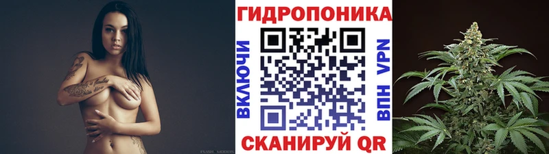 закладка  Киржач  Бошки марихуана OG Kush 